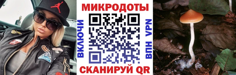 Псилоцибиновые грибы GOLDEN TEACHER  гидра как зайти  Нюрба 
